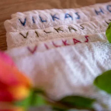 Holiday home Vilkas Topolia